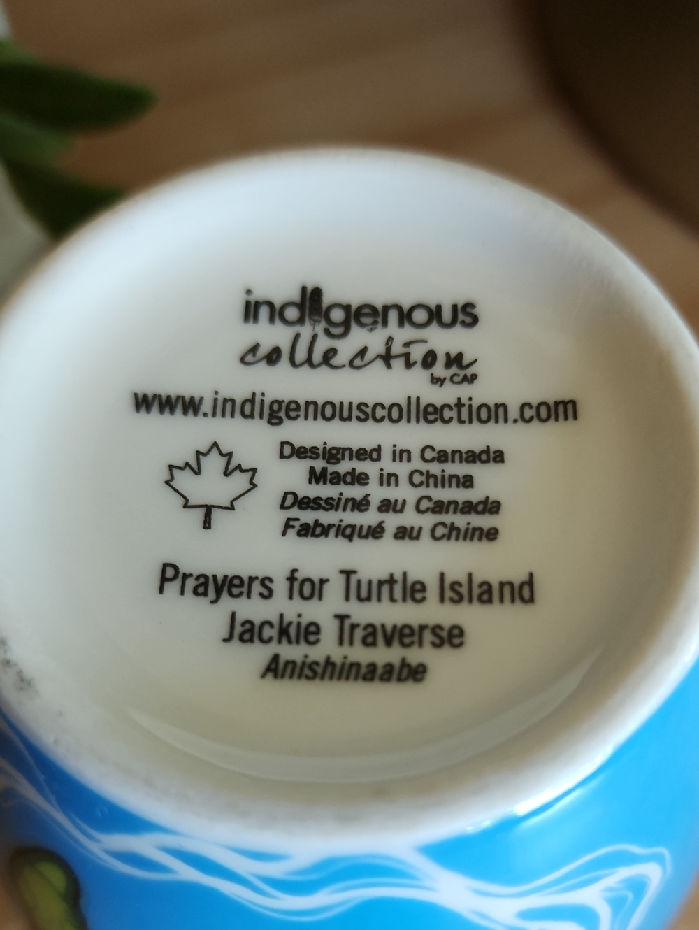 Indigenous Collection Turtle Mug - Picture 5 of 9